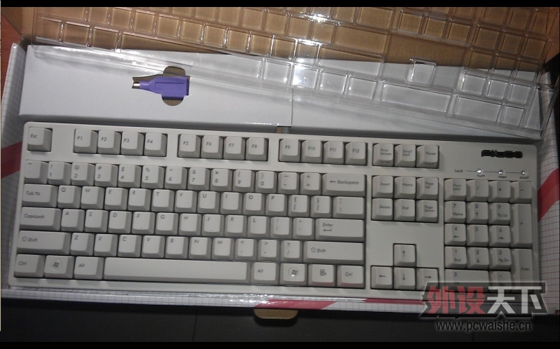 �������鵽�˴�˵�е������ᡪ��Filcoһ����ɫ���ᵽ��~~ ���ֱ��