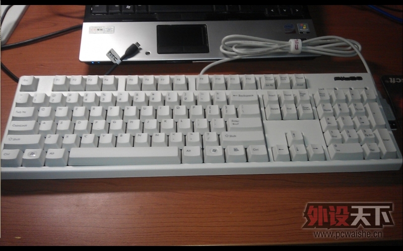 �������鵽�˴�˵�е������ᡪ��Filcoһ����ɫ���ᵽ��~~ ���ֱ��