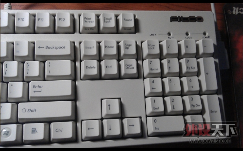 �������鵽�˴�˵�е������ᡪ��Filcoһ����ɫ���ᵽ��~~ ���ֱ��