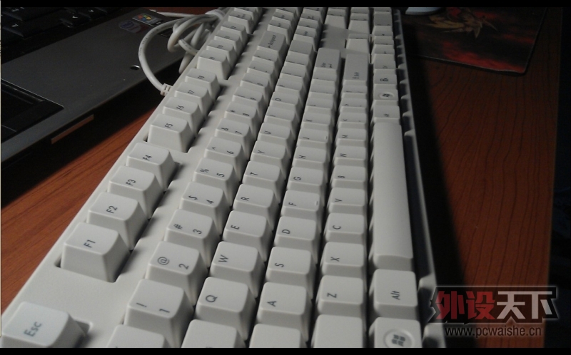 �������鵽�˴�˵�е������ᡪ��Filcoһ����ɫ���ᵽ��~~ ���ֱ��