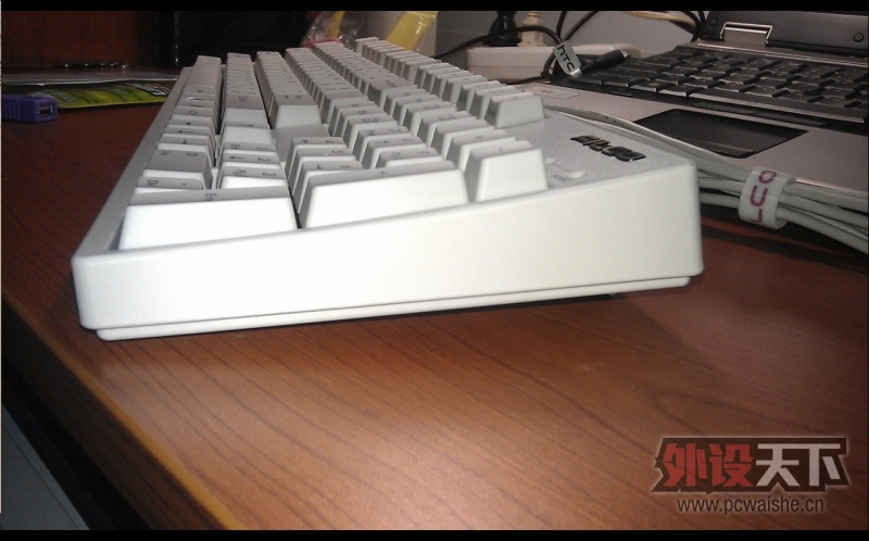 �������鵽�˴�˵�е������ᡪ��Filcoһ����ɫ���ᵽ��~~ ���ֱ��