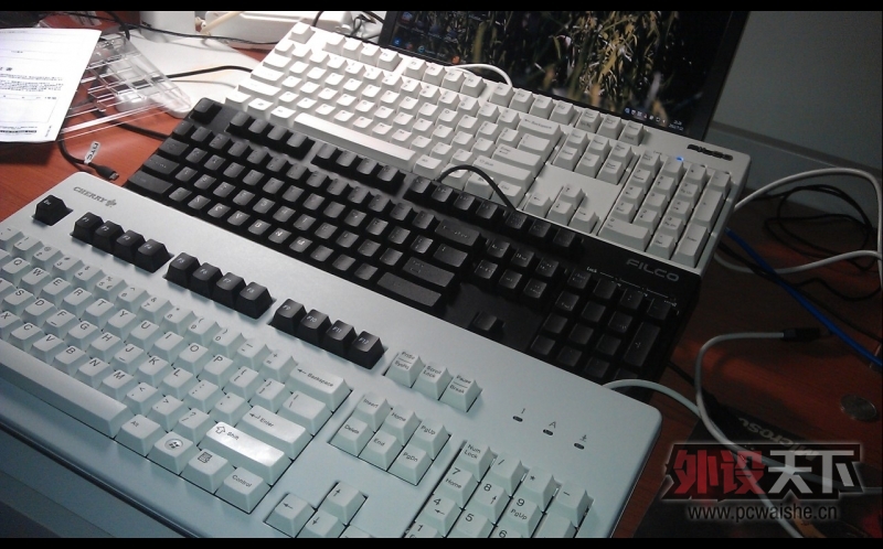 �������鵽�˴�˵�е������ᡪ��Filcoһ����ɫ���ᵽ��~~ ���ֱ��