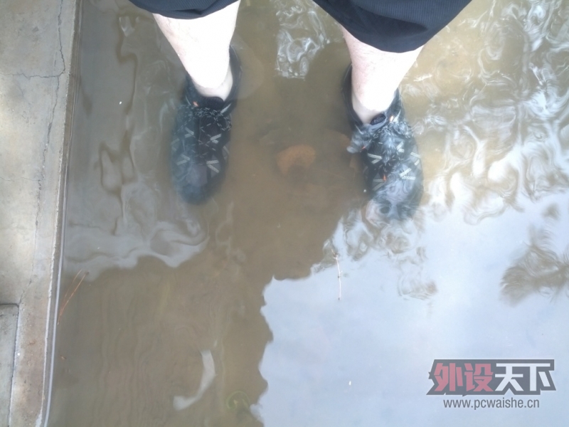 ���������㻹��ô����