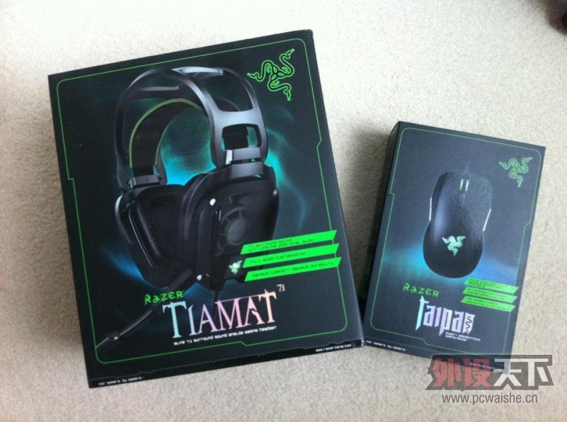 ̫�����֣�SENSEI Fnatic