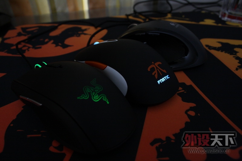 ̫�����֣�SENSEI Fnatic