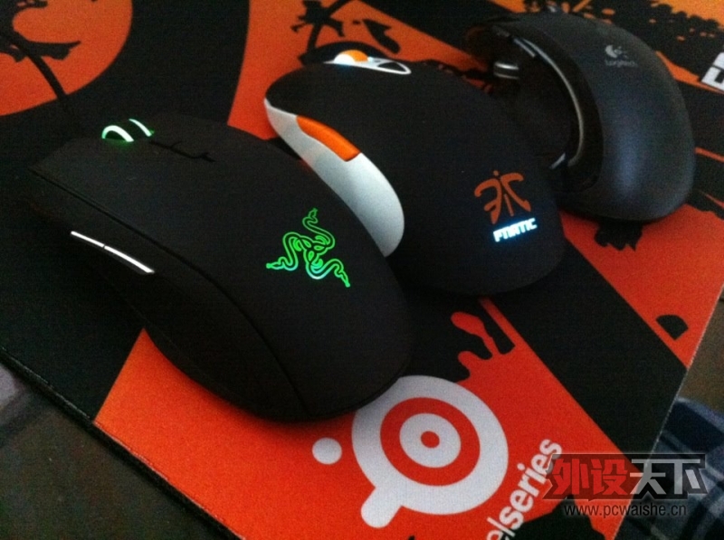 ̫�����֣�SENSEI Fnatic