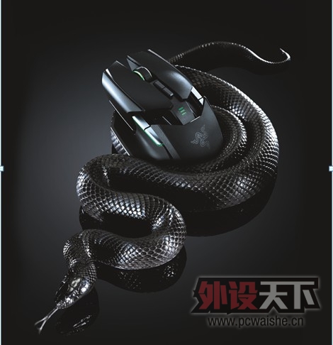 �����¹ٷ���ϸ��Ϣ������RAZER����Ʒ��