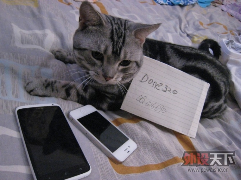 [����ʵ���]ħ��¼��ʦ+�����Onex�ֻ��ԱȰ���9300�������ĵ�