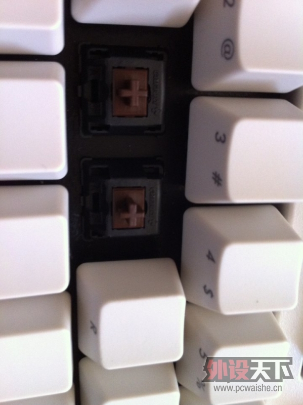FILCO߶ײ֣ԱȺᣬ
