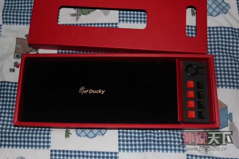 [12P] ducky꣬Сձ~