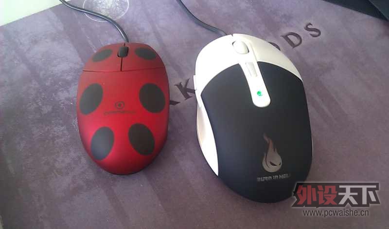 ��ҹ��FKmini~