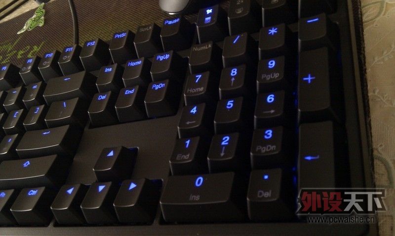 ħ��Ѽ��ducky9008shining�����е���� ���ᣨͼ��