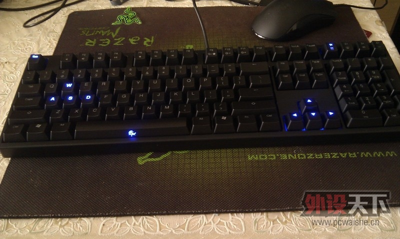 ħ��Ѽ��ducky9008shining�����е���� ���ᣨͼ��