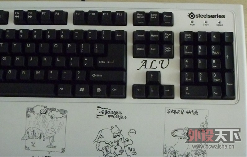 [7P] ���˱��� ɹ�Լ�MOD�� WNV-TEANMWORK ��ɫ��˹�����7G