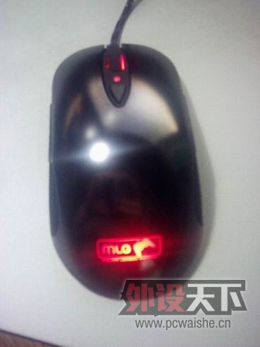 �Ⱥ����ĸճ��У��µ�MLGһֻ~