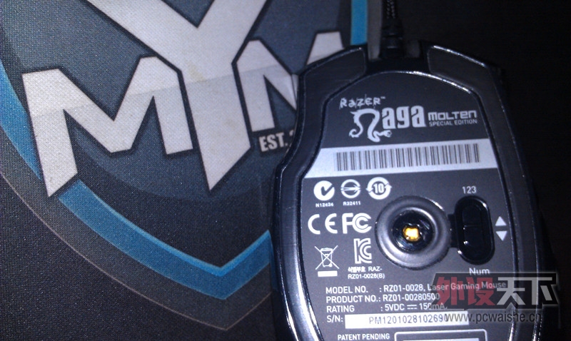 IMAG0170_.jpg