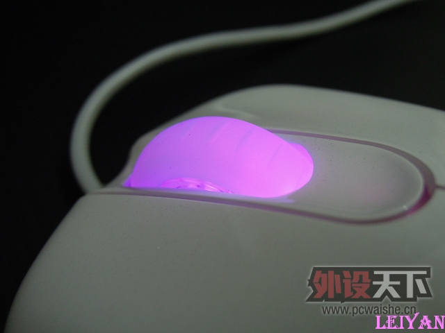 "һ��һ��������"ZOWIE EC2 eVo �����