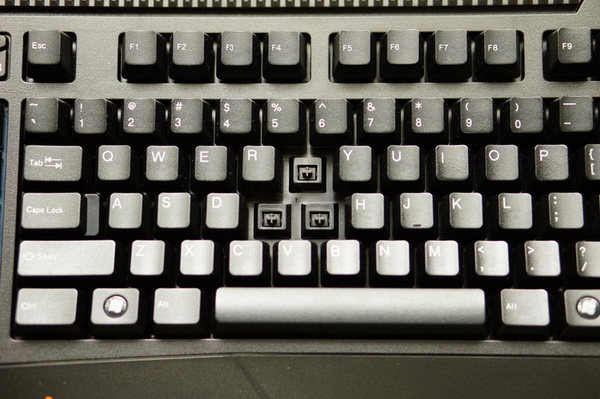 402.JPG