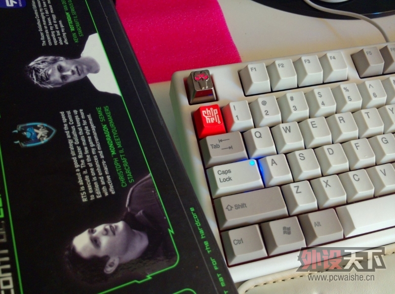 �ؼ��֣��Ͻ��ñ������Ѫͳ��AM-FG��Plum96���Ұ׸��ż�ñ
