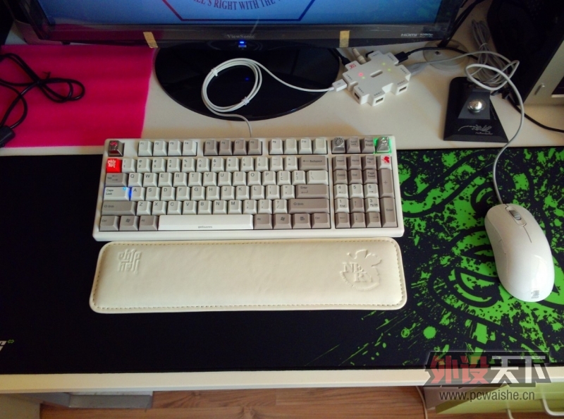 �ؼ��֣��Ͻ��ñ������Ѫͳ��AM-FG��Plum96���Ұ׸��ż�ñ