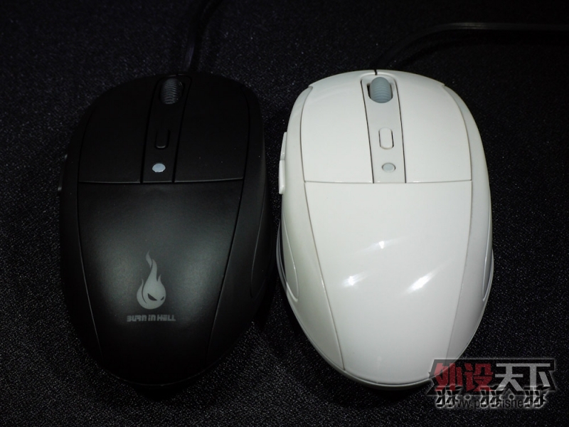 Black Or White ��������ɫ���ջ� ������ƫRTS��������ȫ���⣨��ᣩ