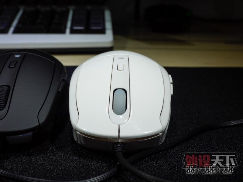 Black Or White ��������ɫ���ջ� ������ƫRTS��������ȫ���⣨��ᣩ