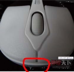 ��˵��ҹ������ǲ����е�ֲ�