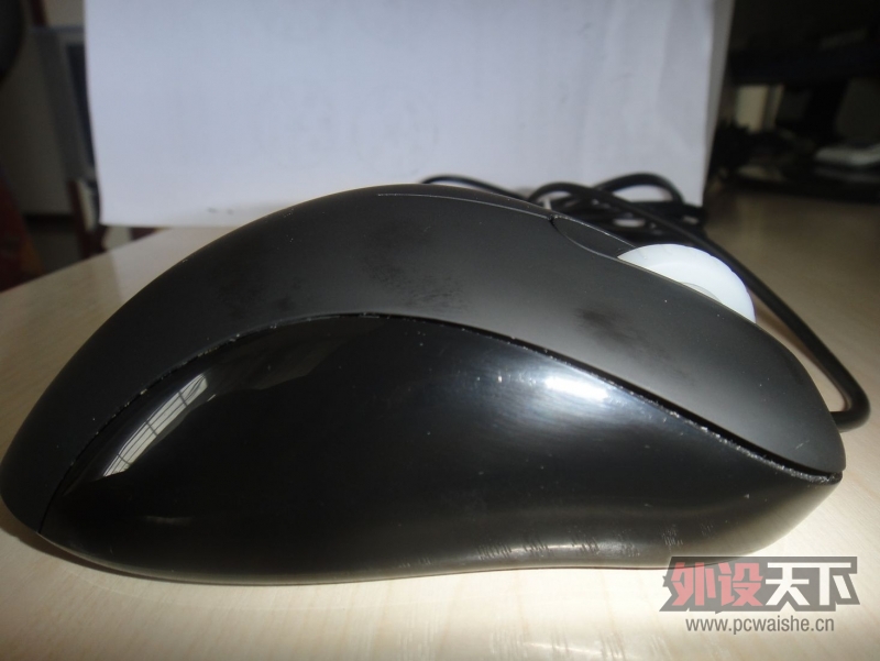 nEO_IMG_DSC00269.jpg