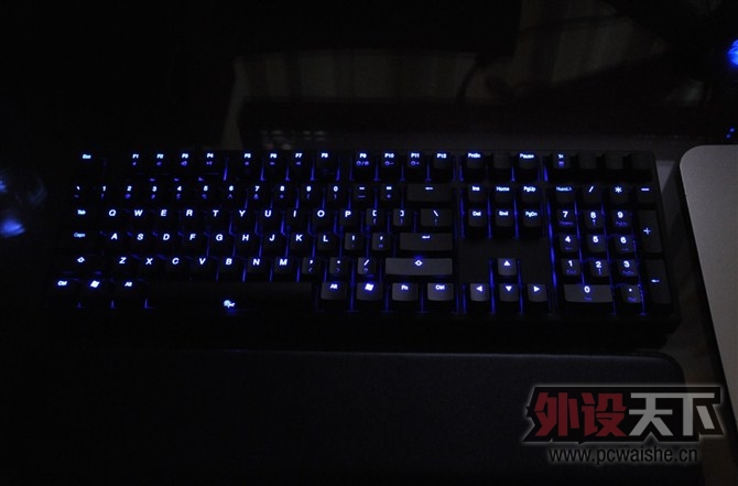 DUCKY SHINING  95700˳ᵽѳ