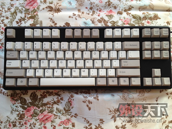 [��ݸ]Archiss 87���504�����������9.5�´��700