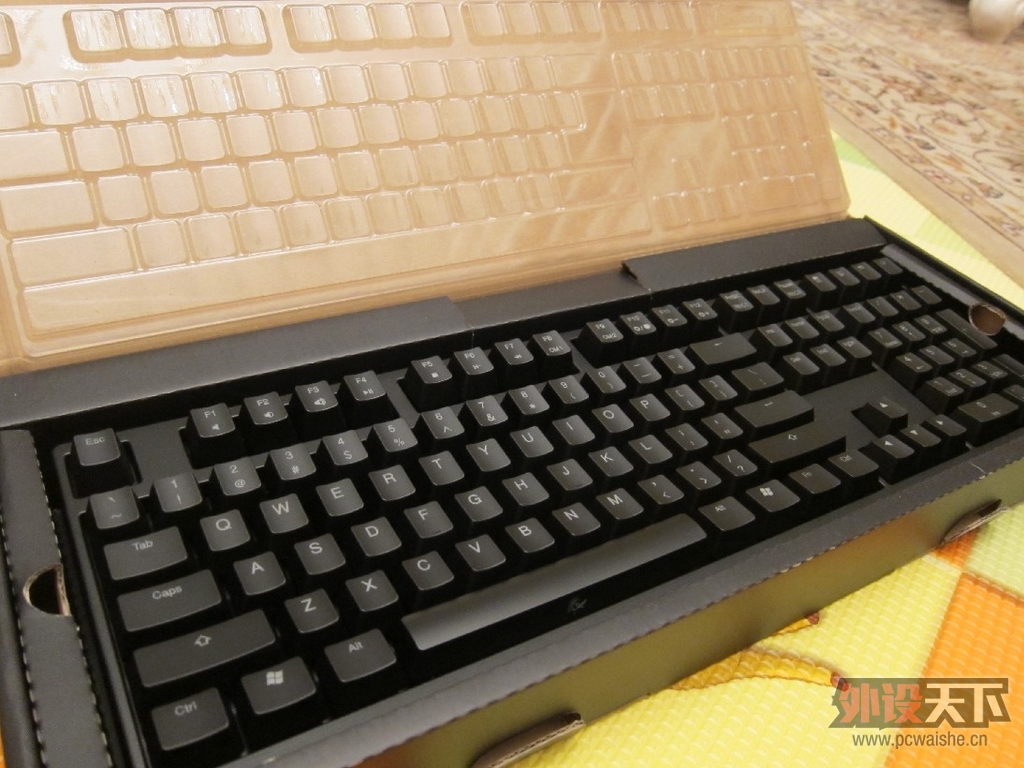 Ducky 9008 shining2 
