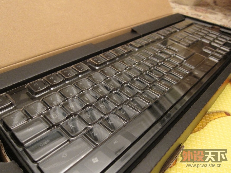 Ducky 9008 shining2 