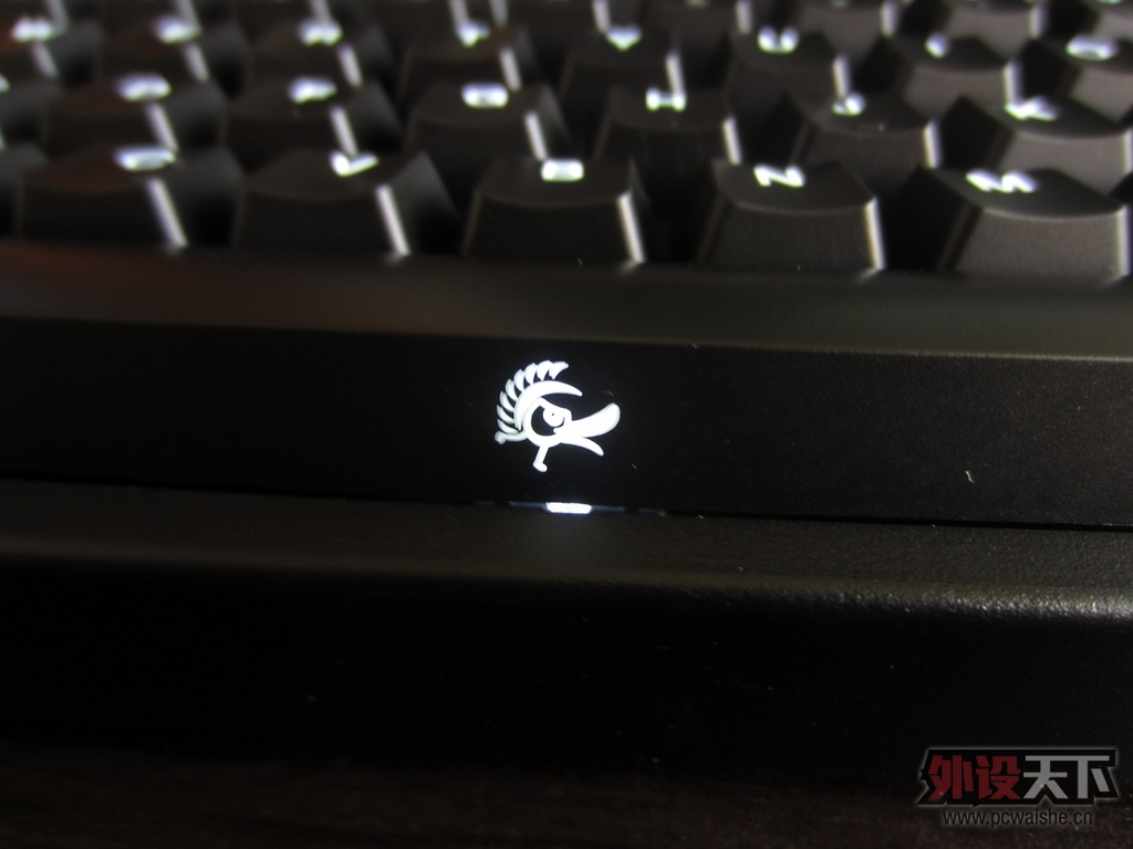 DUCKY SHINE2 �׵ƺ��� ɹɹ ���Ӳ�����Ƶ