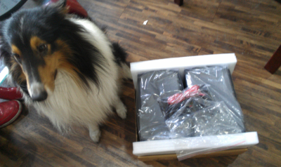 �¹� zuaudio even ����2.0��Դ���䣬���ʵ��֣���ͼ�������~������ˮ����