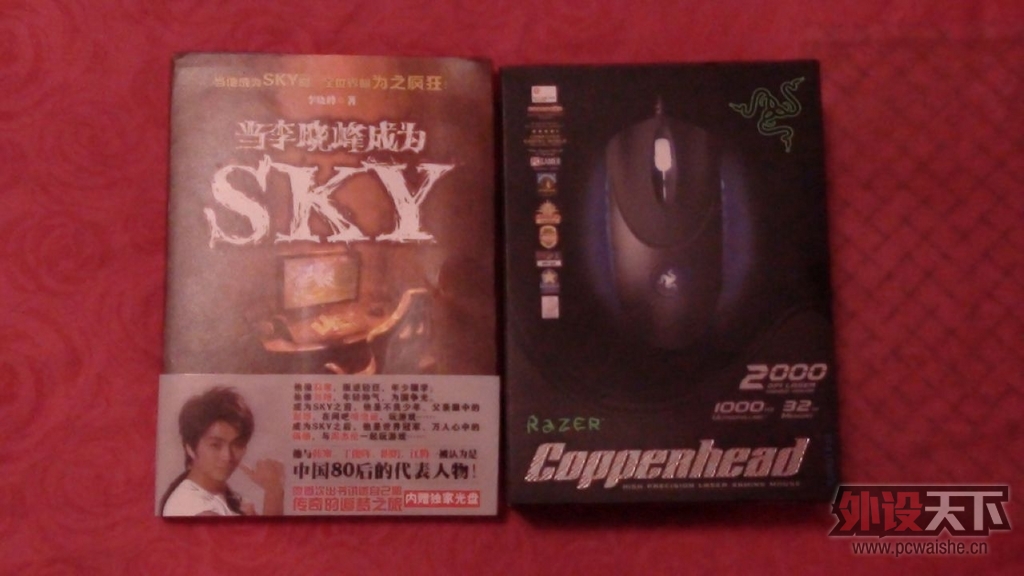 DSC00412.jpg