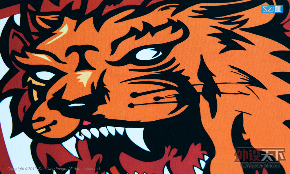 Qpad CT Lions Esport Club ������ ��̸