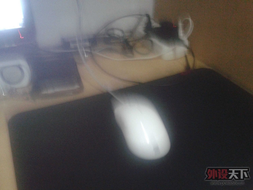 ����ɳ���ѳ��������