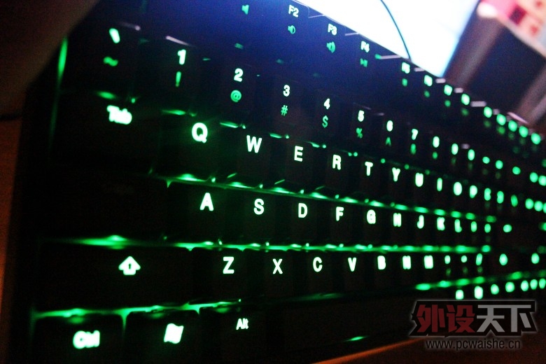 IMG_0632_conew1.jpg