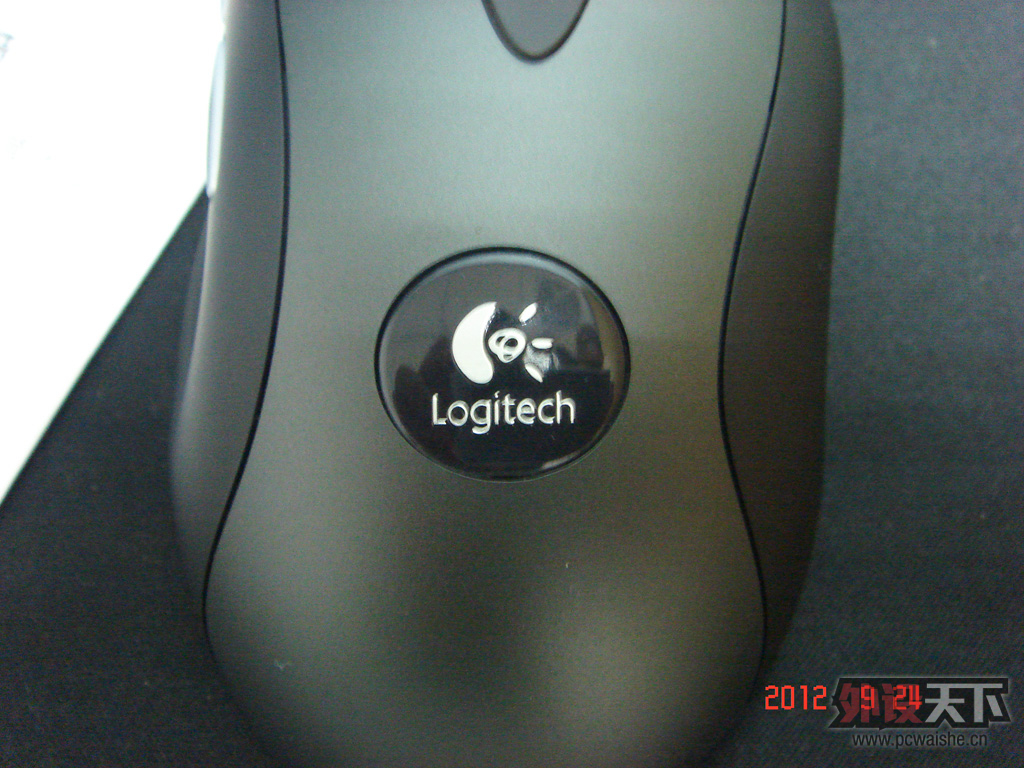 DSC00041.jpg