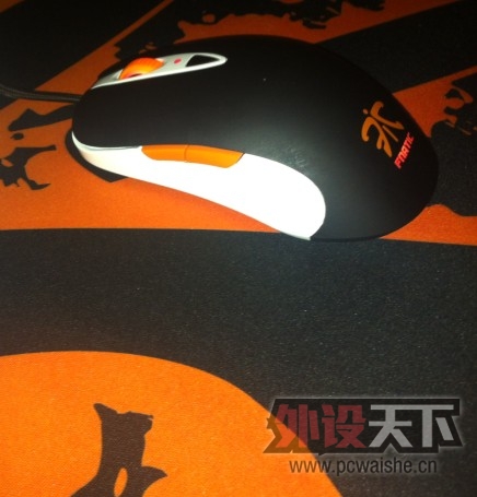 ����������sensei fnatic��Qck fnatic. ���󹺵㶫�����ꡣ
