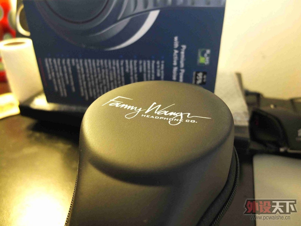 I'm audio-guy ��������fanny wang�콢
