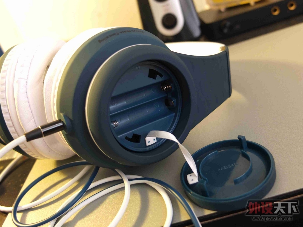 I'm audio-guy ��������fanny wang�콢