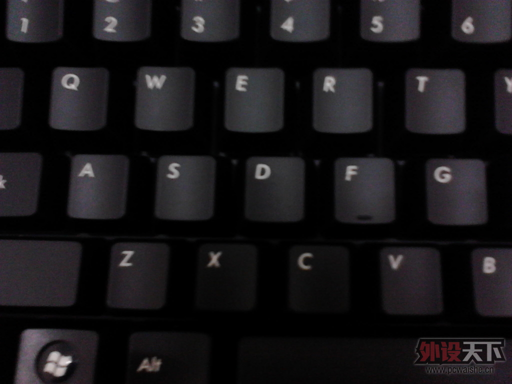 IMG10056.jpg