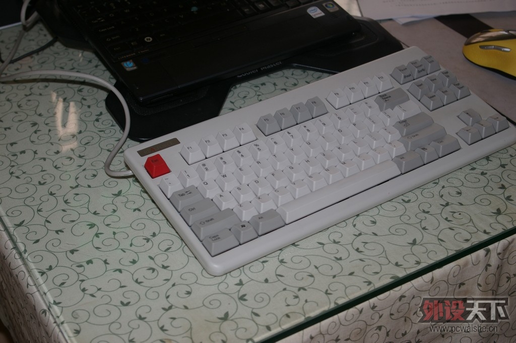 IMGP2437.JPG
