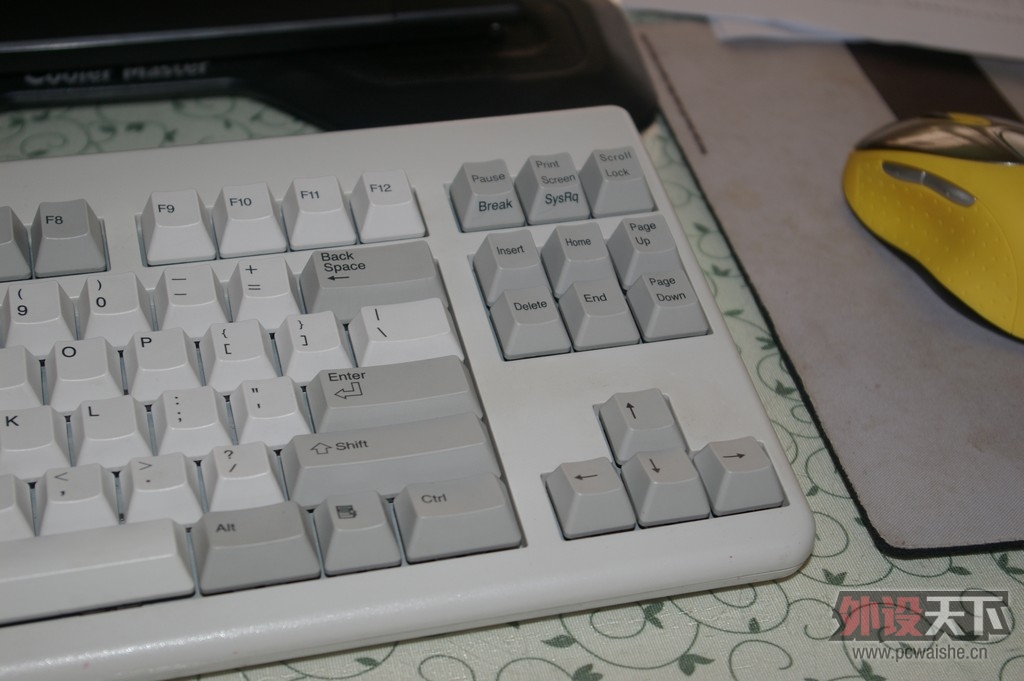 IMGP2439.JPG