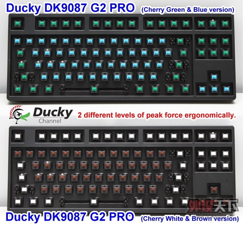 ƷDuckyƳѹ