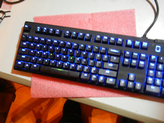 ���F��J���ı������ɫ�ĳ���ɫ�ġ��������Ͽ�ʼ��ҵ����ֱ���С�������