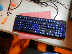 ���F��J���ı������ɫ�ĳ���ɫ�ġ��������Ͽ�ʼ��ҵ����ֱ���С�������