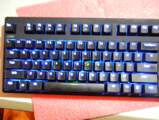 ���F��J���ı������ɫ�ĳ���ɫ�ġ��������Ͽ�ʼ��ҵ����ֱ���С�������
