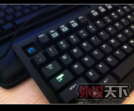 [8P] �ڹѸ������浽��
